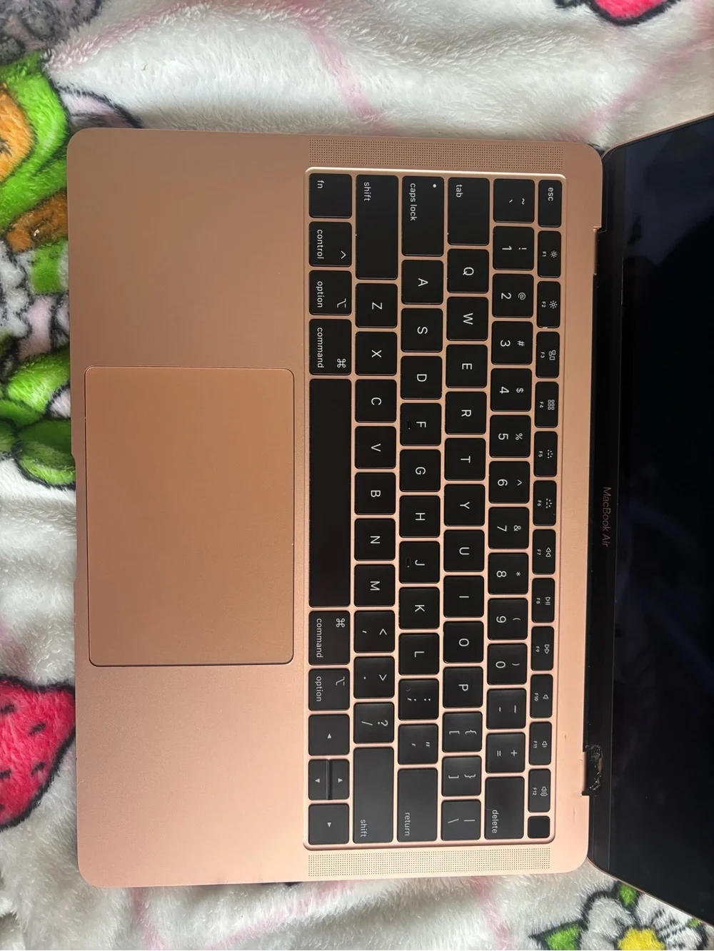 Apple MacBook in Rose Gold